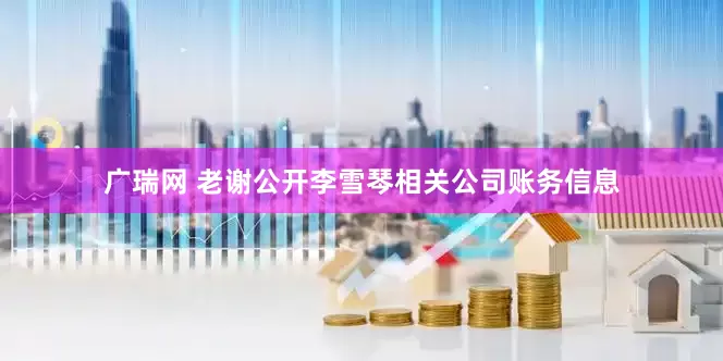 广瑞网 老谢公开李雪琴相关公司账务信息
