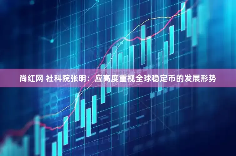 尚红网 社科院张明：应高度重视全球稳定币的发展形势