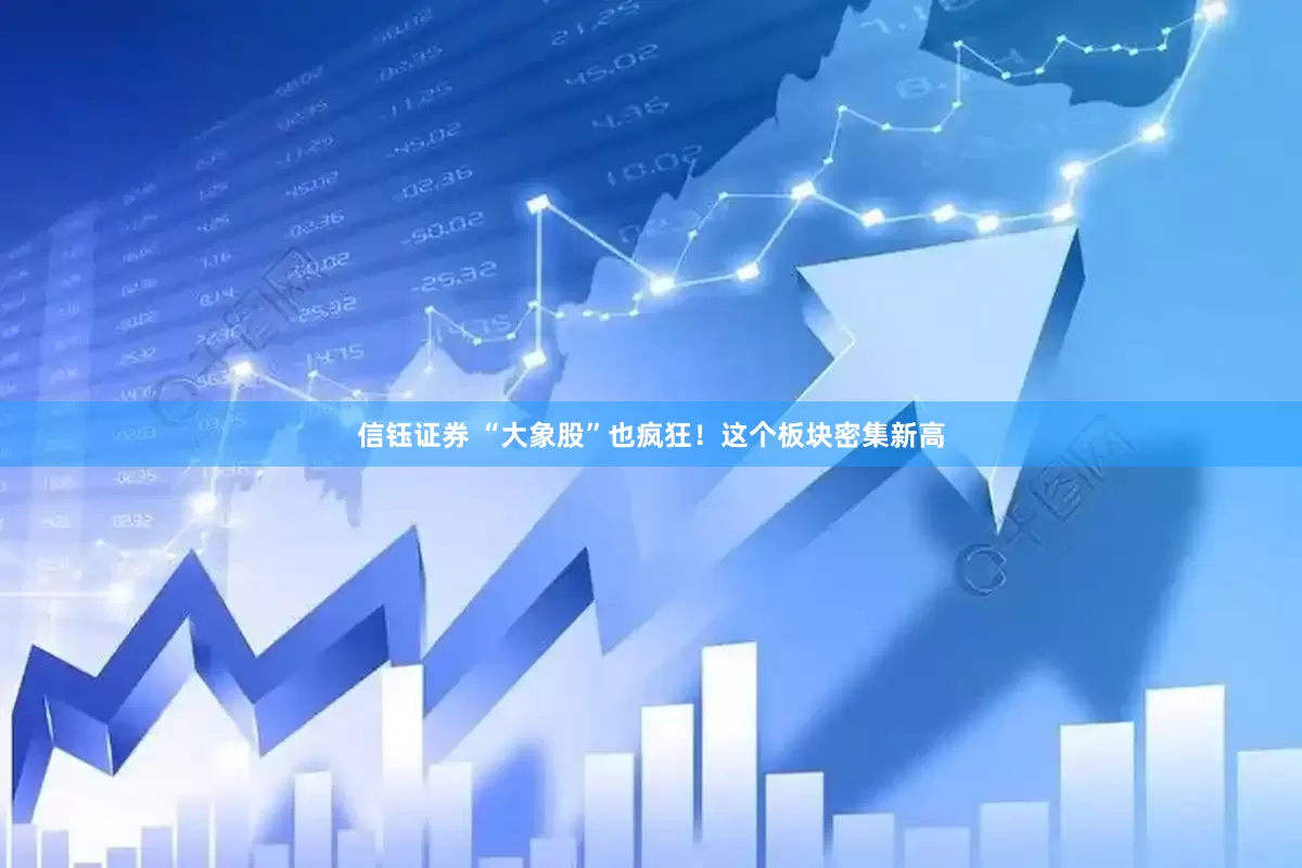 信钰证券 “大象股”也疯狂！这个板块密集新高