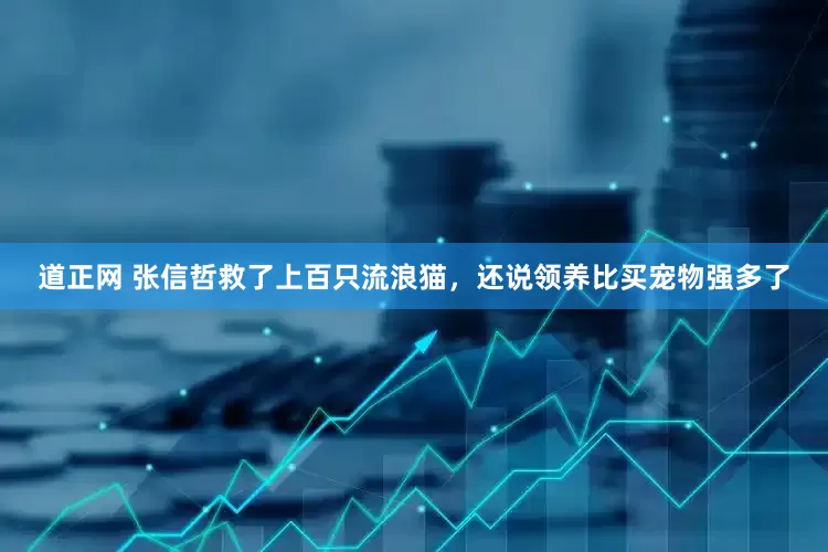 道正网 张信哲救了上百只流浪猫，还说领养比买宠物强多了