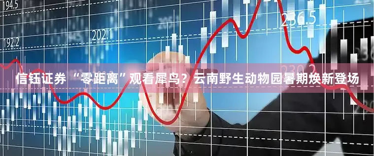 信钰证券 “零距离”观看犀鸟？云南野生动物园暑期焕新登场
