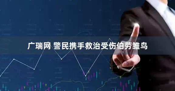 广瑞网 警民携手救治受伤伯劳雏鸟
