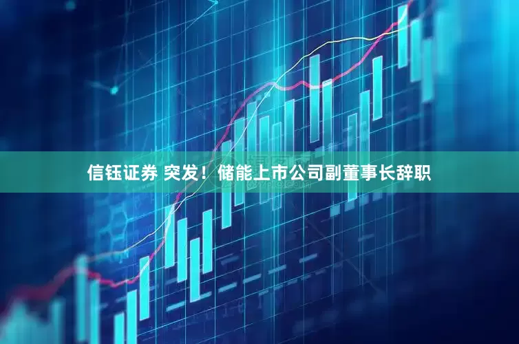信钰证券 突发！储能上市公司副董事长辞职